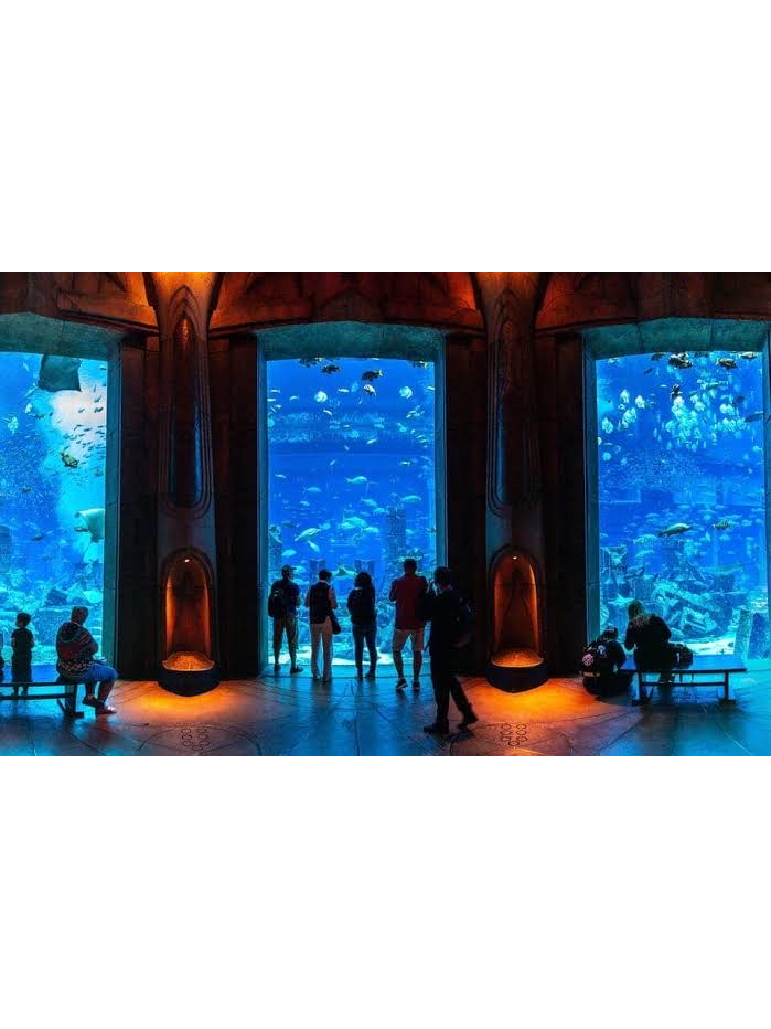 The Lost Chambers Aquarium Tickets