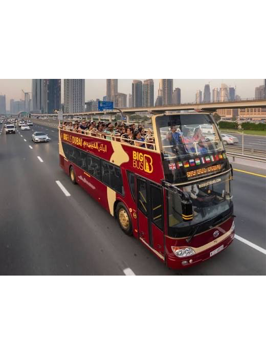 Big Bus Sightseeing Tour