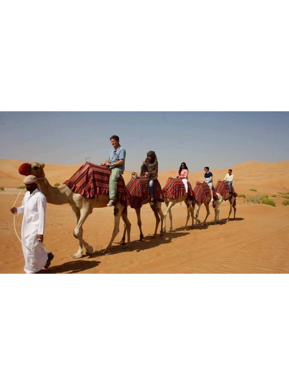 Camel Trekking in Abu Dhabi