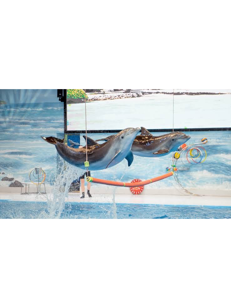 Dubai Dolphinarium