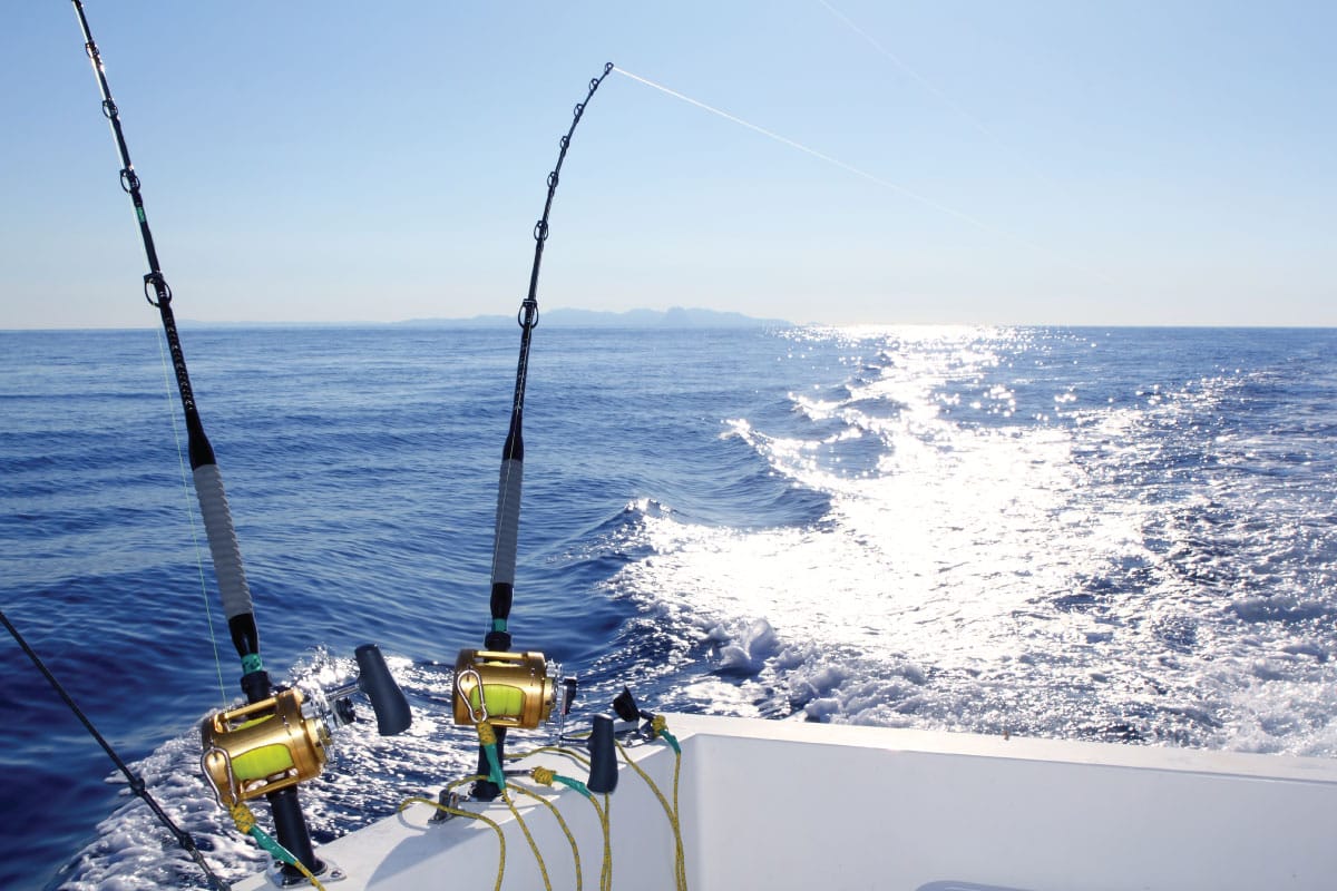 Deep Sea Fishing