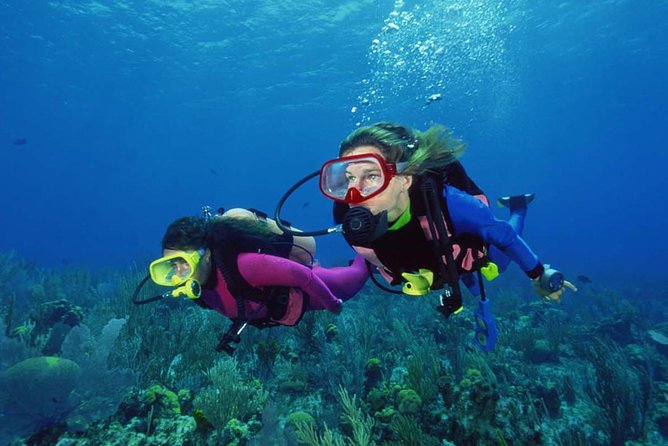 Scuba Diving Tour