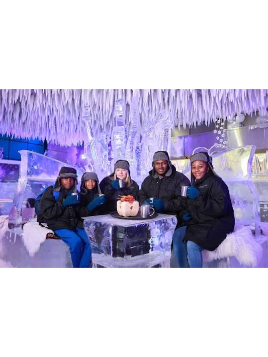 Chillout Ice Lounge Dubai