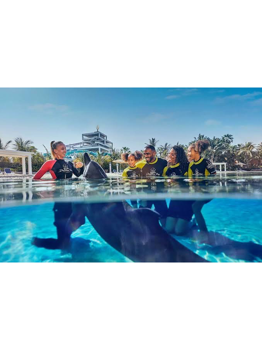 Dolphin Bay Atlantis