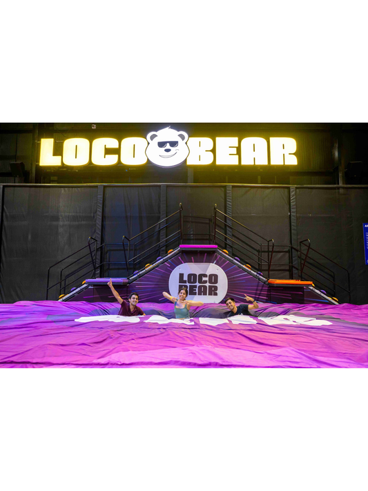 Loco Bear Entertainment Hub