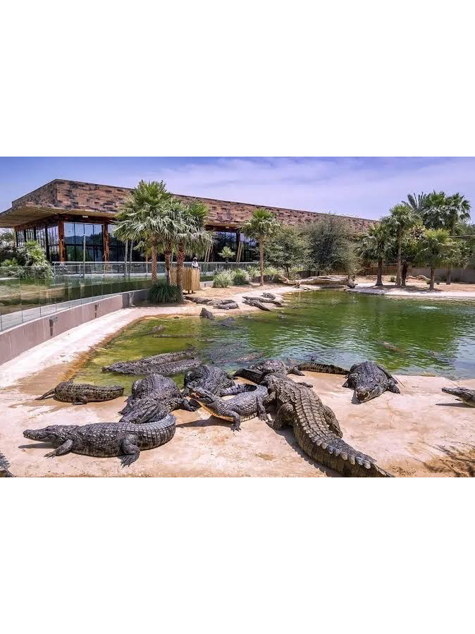 Dubai Crocodile Park