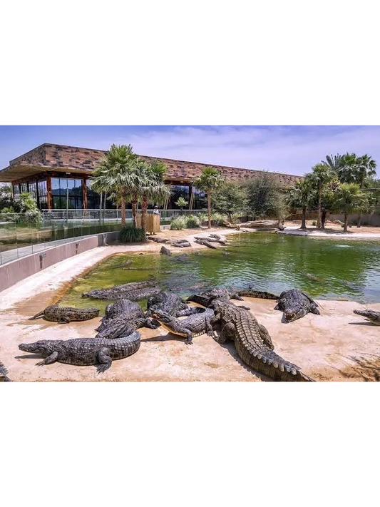 Dubai Crocodile Park