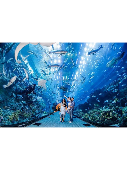 Dubai Aquarium and Underwater Zoo