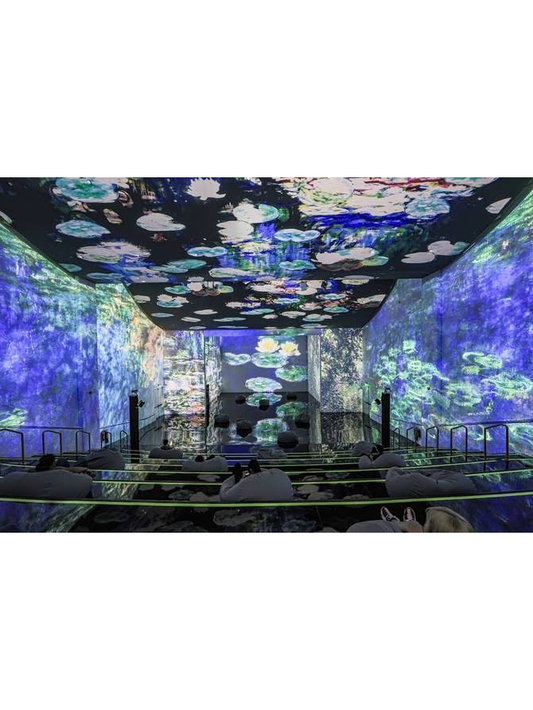 Theatre Of Digital Art