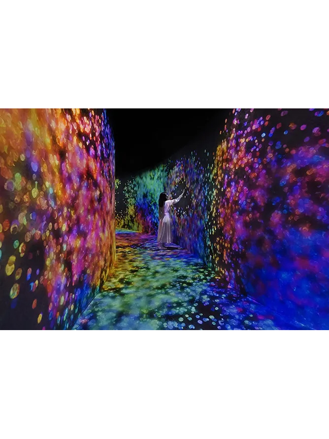 Teamlab Phenomena