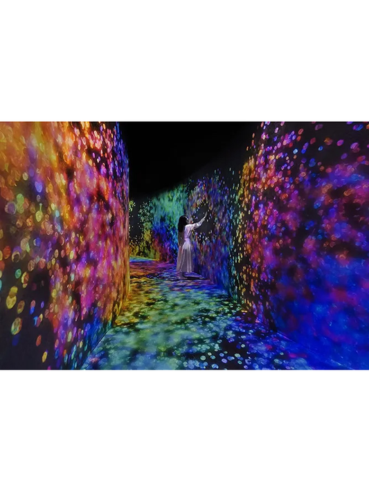 Teamlab Phenomena