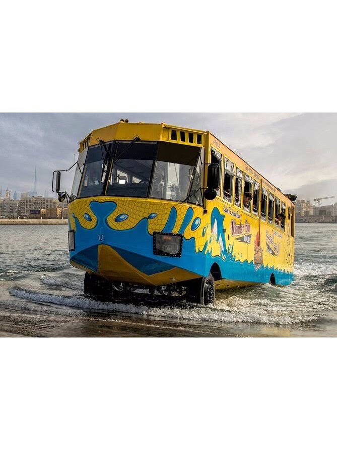 Wonder Bus Sea And Land Adventure Tours