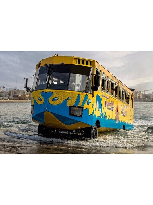 Wonder Bus Sea And Land Adventure Tours