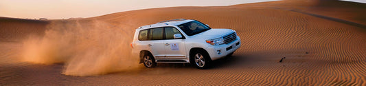 Dinner In Desert