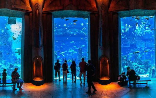 The Lost Chambers Aquarium Tickets